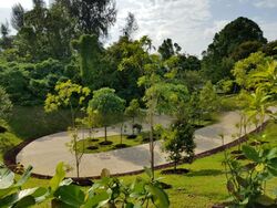 Woodlands Street 81 (Woodlands),  #474452821
